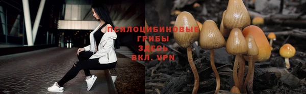 бутират Арсеньев